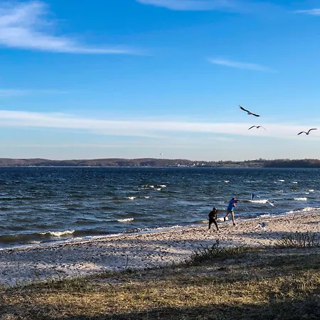 Ferienhaus Seestern Glücksburg