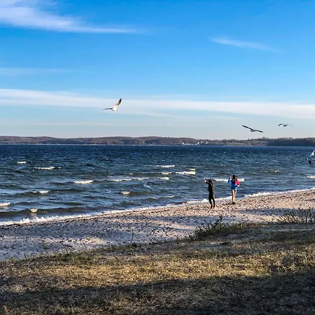 Seestern * Glücksburg