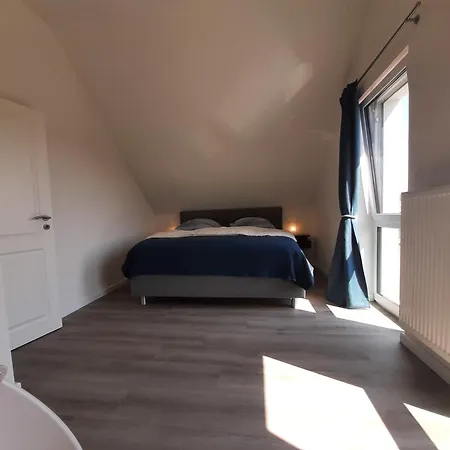 Seestern Glücksburg