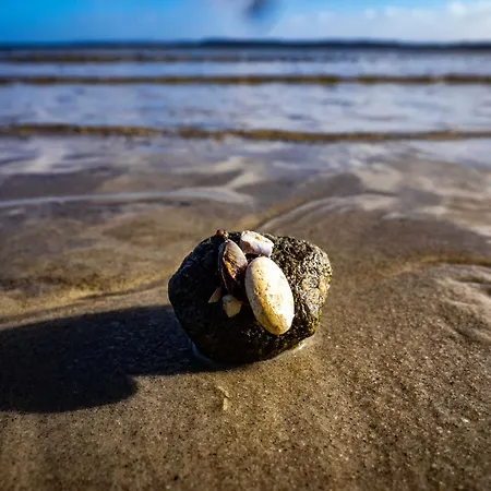 Seestern Ferienhaus *