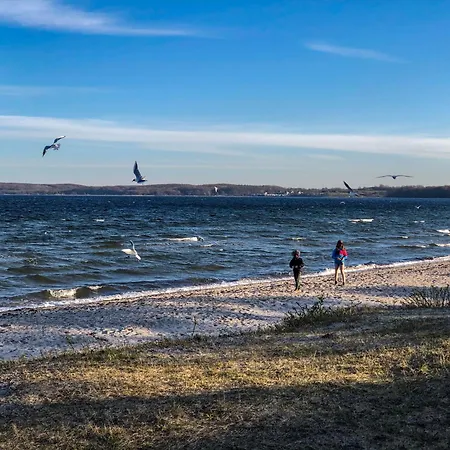 Seestern Ferienhaus Glücksburg