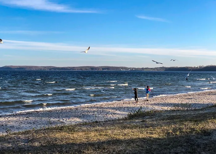 Seestern * Glücksburg