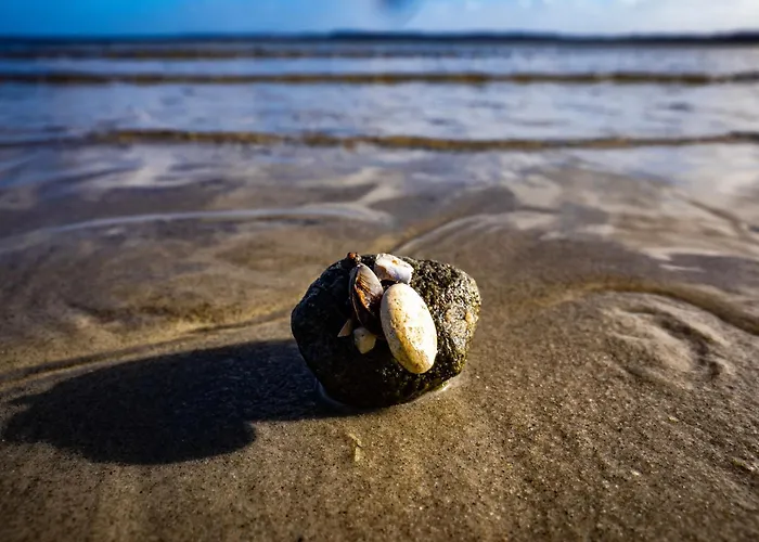 Seestern Vakantiehuis *